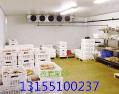 安徽板栗冷库安装厂家直销 一站式解决方案与价格咨询指南