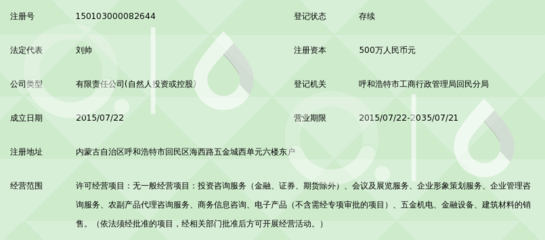 内蒙古雅青投资管理有限责任公司 专业咨询策划服务解析